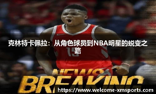 熊猫体育官网
