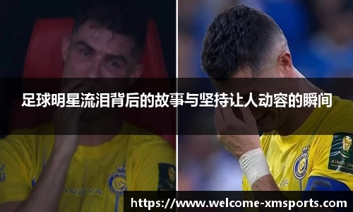 熊猫体育娱乐